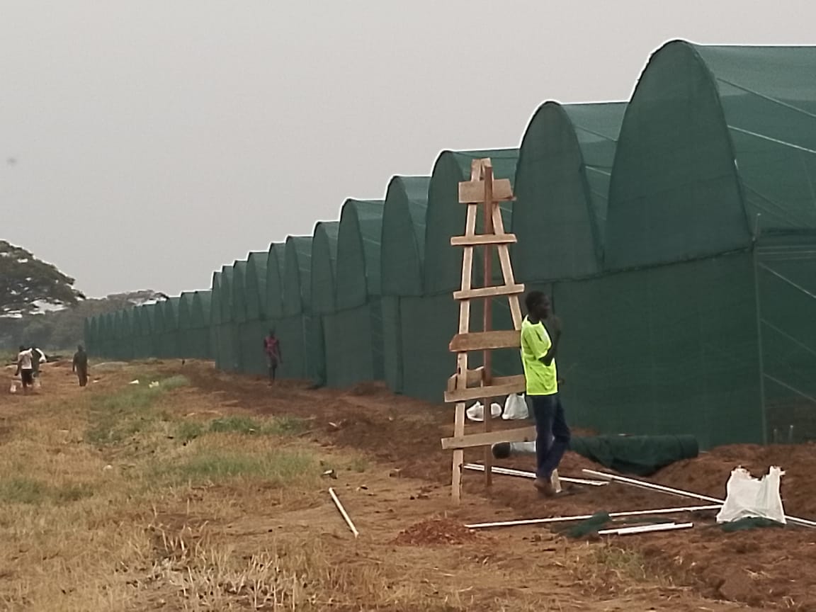 Commercial Greenhouse