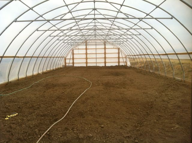 Tunnel Greenhouse