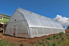 Tunnel Greenhouse